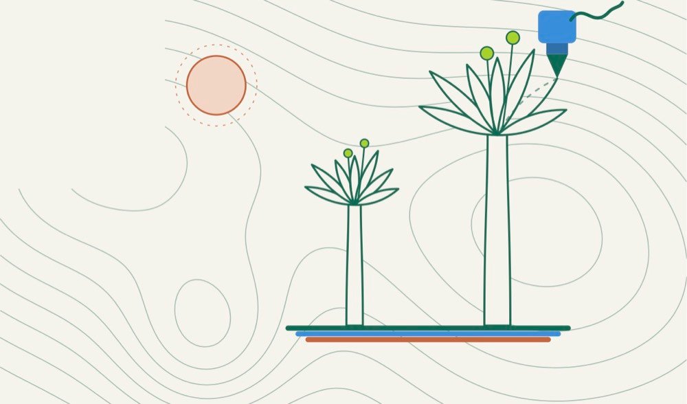 Ilustración de dos frailejones con una boquilla de impresora 3D sobre curvas de nivel del páramo